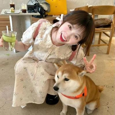 吉娃娃